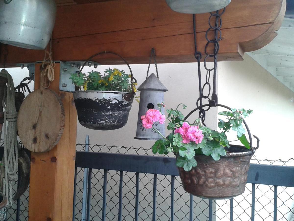 B&B Casa Francesca Alano Di Piave 외부 사진