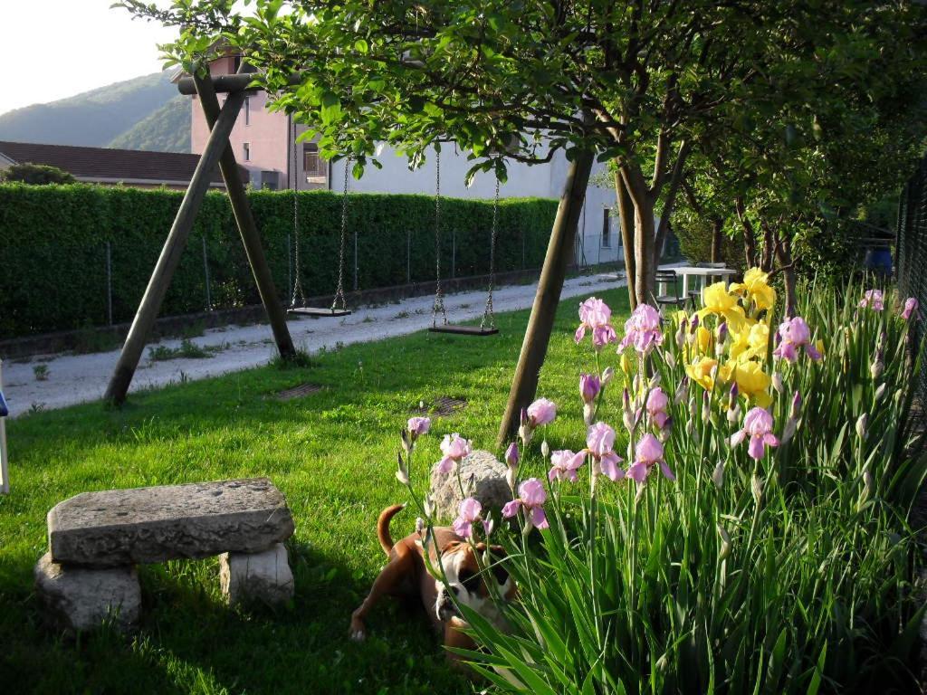 B&B Casa Francesca Alano Di Piave 외부 사진